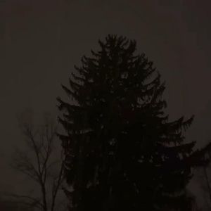 Meet your Posher, Noah